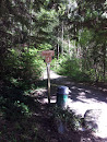 Hastings Creek Trail