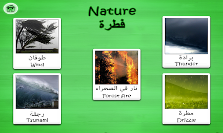 Arabic Flashcards By Tinytapps poster 3
