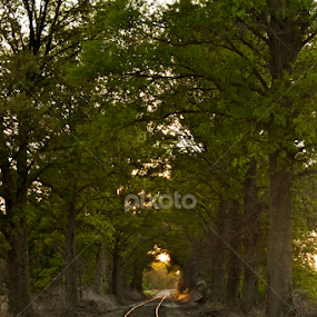 railroad tracks sunset by Chris Taylor - Transportation Railway Tracks