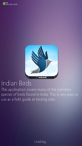 Indian Birds