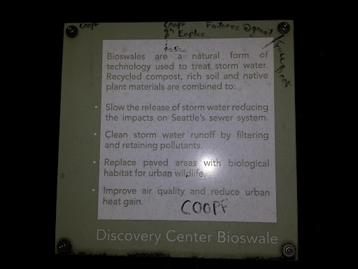 Discovery Bioswale