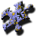 Puzzle Photo Quiz logo