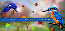 Bird Reflection Live Wallpaper APK