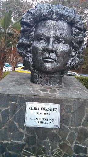 Memoria A Clara Gonzalez