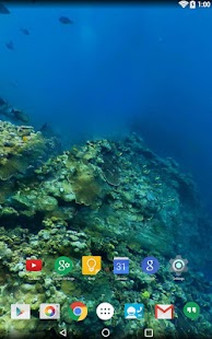download Panorama Wallpaper: Diving free