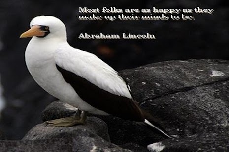 Happy Quotes! Screenshots 0