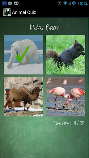 Animal Quiz