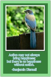 Happy Quotes! Screenshots 4