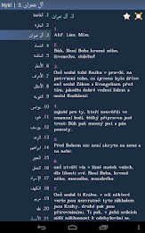 Quran in Czech poster 14