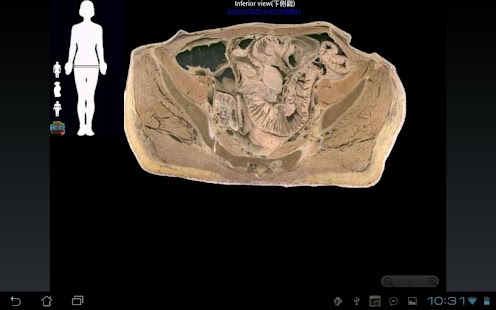 How to mod 高雄醫學大學解剖學課程 1.0 apk for android