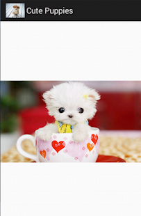 cute puppies Screenshots 4