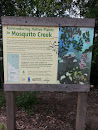 Mosquito Creek Rehabilitation
