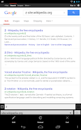 Search Web Browser poster 4