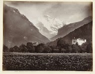Interlaken & Jungfrau