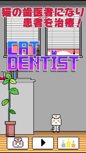 Cat Dentist