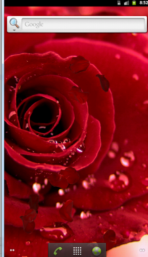 Rose Live Wallpaper