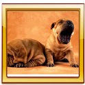 Dogs Best Live Wallpaper logo