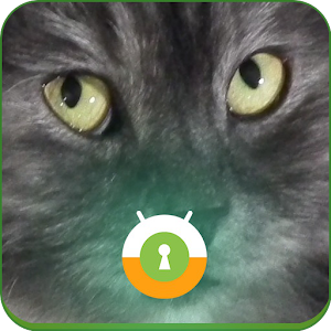 Cats Wall & Lock 1.24