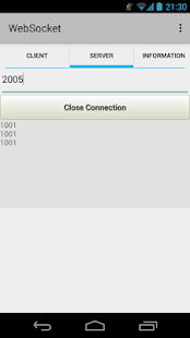 WebSocket Screenshots 3