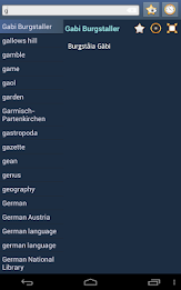 English Bavarian Dictionary poster 8