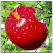 Haw Widget