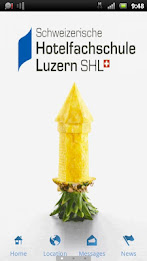 Switzerland.  hotel management school lucerne poster 1