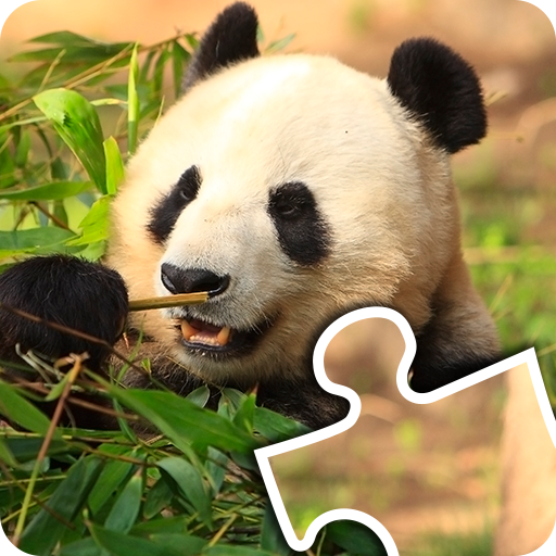 Animals Puzzle 解謎 App LOGO-APP開箱王