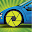 Crash Cam Download on Windows