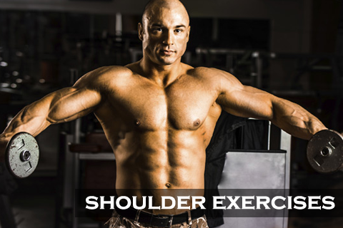 Shoulder Exercises