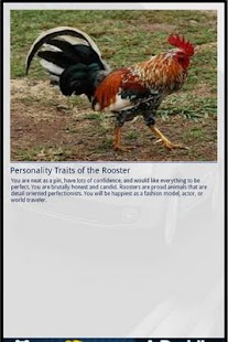 免費下載休閒APP|Rooster&Me app開箱文|APP開箱王