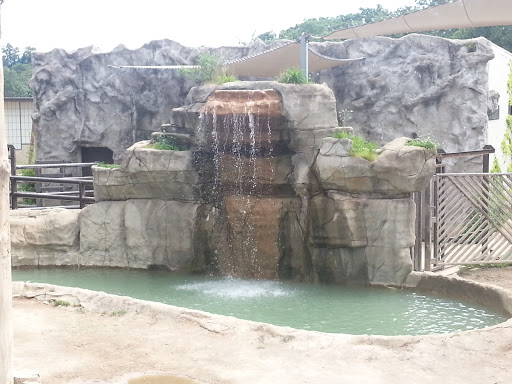 Elephant Waterfall 