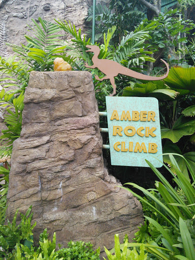 Amber Rock Climb 