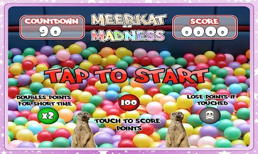 免費下載家庭片APP|Meerkat Madness - Whack a Kat app開箱文|APP開箱王