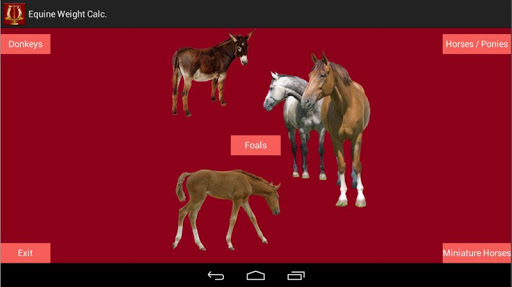 【免費醫療App】Equine Weight Calculator-APP點子