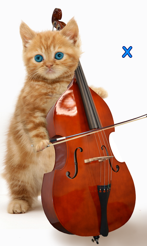 Talking, Dancing Cat. - Android Apps on Google Play