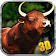 Angry 3D Simulator Bull icon