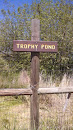 Trophy Pond
