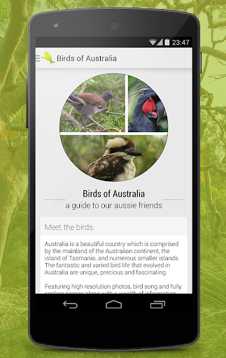 Birdlife of Australia
