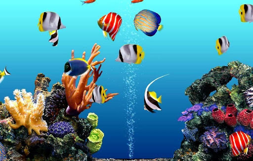 Aquarium Wallpapers HD