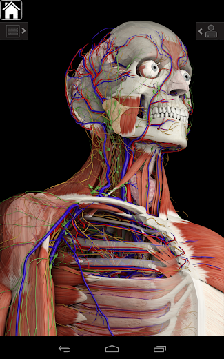 Anatomía Essential 3 - pantalla