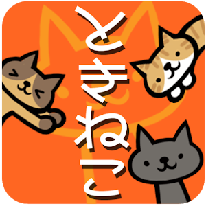 cat-type clock widget Varies with device