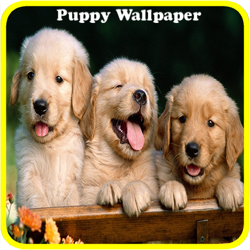 Cute Puppy Wallpaper. LOGO-APP點子