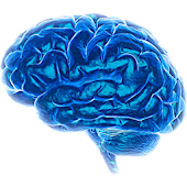 Логические задачи