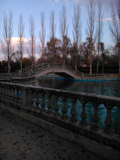 Estanque Con Puente En El Parque