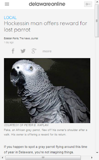 Parrot and Parakeet News