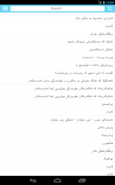 Rebin Dictionary - Kurdish poster 13