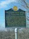 The Charlotte Whale