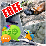 Zoo Animals Theme for GO SMS Apk