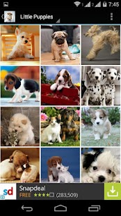 Cute Little Puppies Wallpapers Screenshots 10