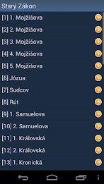 Czech Holy Bible poster 2